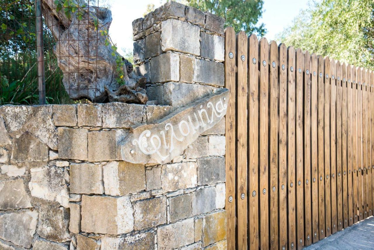 Danae Studio Gaios Dış mekan fotoğraf